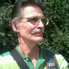 Ronald van Cuilenborg