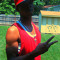 Justin Lamar Thompson