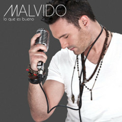 malvido