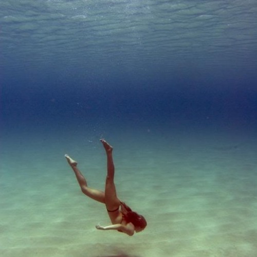 Siopis - Really Love Ya