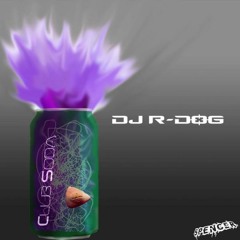 DJ R-DOG