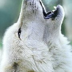 Christian Gutierrez 227