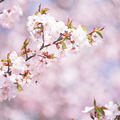 Iris-Goo Goo Dolls (piano cover)