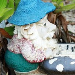 Bruce Inthegarden