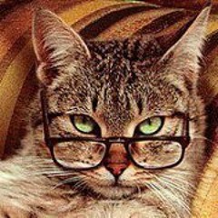 Stephanie Hudson Castro