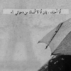 سيد حسن نصر الله والطريق إلى الجنة - نهاية المطاف