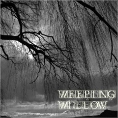 Weeping Willow (IT)