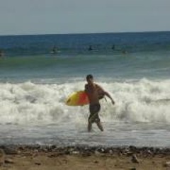 Alejandro Mora Araya