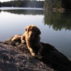 Holly Campbell Ambler