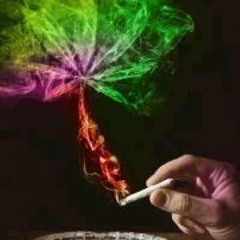 Uriel Piña Martinez