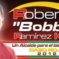 Bobby 2012