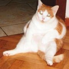 Riccii Cookiiesuchtlaa