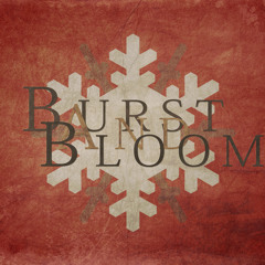 Burst And Bloom