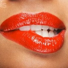 Apogee Music & Management