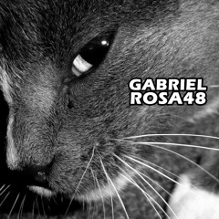 Gabrielrosa
