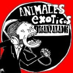 animalesexoticxs