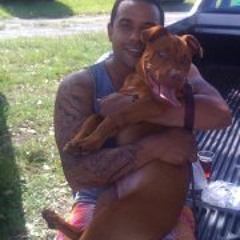 Sollynesian Eggmolesse