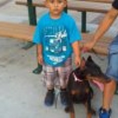 LOS INDOMABLES DE CEDRAL-PRENDA DEL ALMA (año,2011)(360p_H.264-AAC).m4a