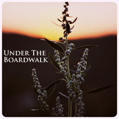 Under The Boardwalk