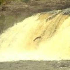 William George Sutton