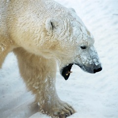 Matthew William Brearley