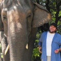 Mathew Garrett Reames