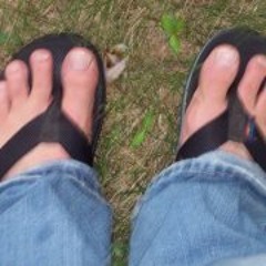 Bluegrass Carpetcleaning