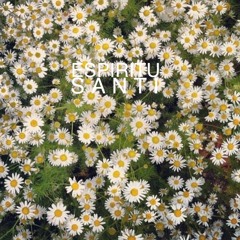 Espiritu Santi