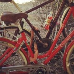 Hanna Ulvegarde Schär