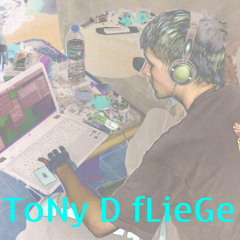 ToNi_D_fLieGe liive