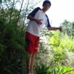 Yuri Pinto Alves