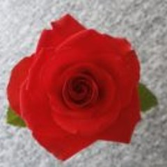 Anastasia Sokolova 2