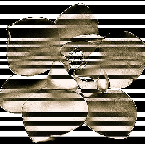 Stream Sun and Moon by Grandiflora Listen online for free on SoundCloud