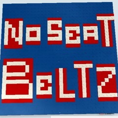 No SeatbeltZ