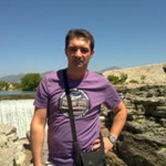 Nebojsa Djordjevic 1