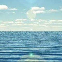 Vladimir Radulovic 1