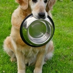 seine etzzelenz ♡ fanpage