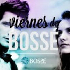 Bossé Guadalajara