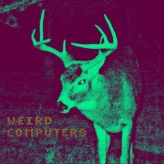 Weird Computers