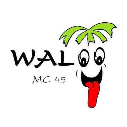 waloomc45’s avatar