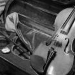 Anne Laure Augusto Gereys