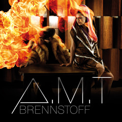 A.M.T Berlin