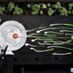 Patrick Dit Max Claron