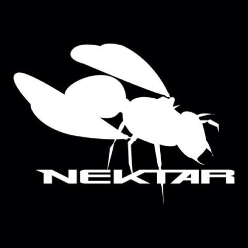 Nektar artist photo