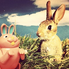 the gaucho & the gremlin