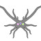 The Trilobite Noize