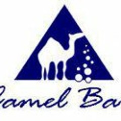 Camel Bar