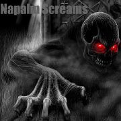 Napalm Screams’s avatar