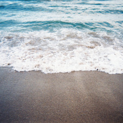 Sea See