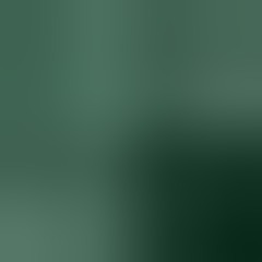 Kevo Älex Der Stadtpirat